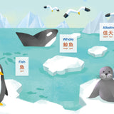 Habbi Habbi Animals, Plants & Places Cantonese