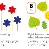 DK Braille: Counting