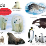 About My First Animals: Let's Squeak and Squawk!