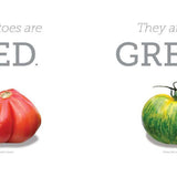 Edible Colors