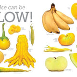 Edible Colors